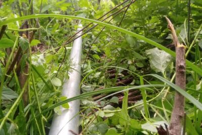 WhatsApp Im7age 2023-07-22 at 23.08.45