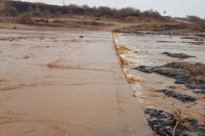 WhatsApp Imagde 2023-07-23 at 00.56.15