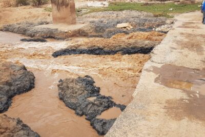 WhatsApp Image 2023-07-23 at 00.56.15